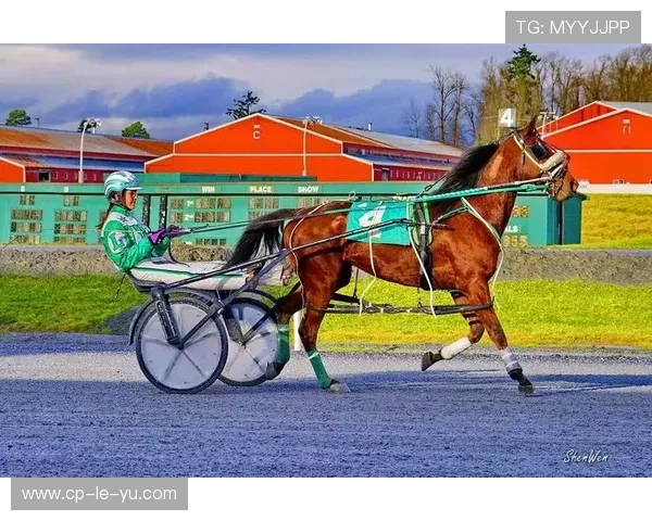 伊朗马术协会推出马匹健康管理系统,提升马匹福利。,伊朗 马赛克 伊朗马术协会推出马匹健康管理系统,提升马匹福利。,伊朗 马赛克