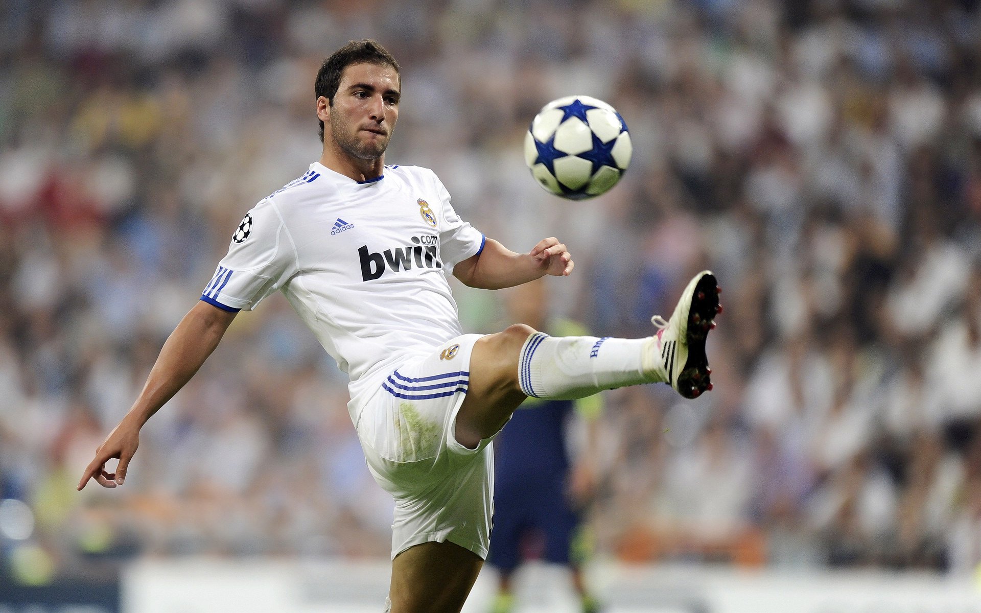 波兰自由泳短程速度惊人，波兰泳协搞错参赛名单